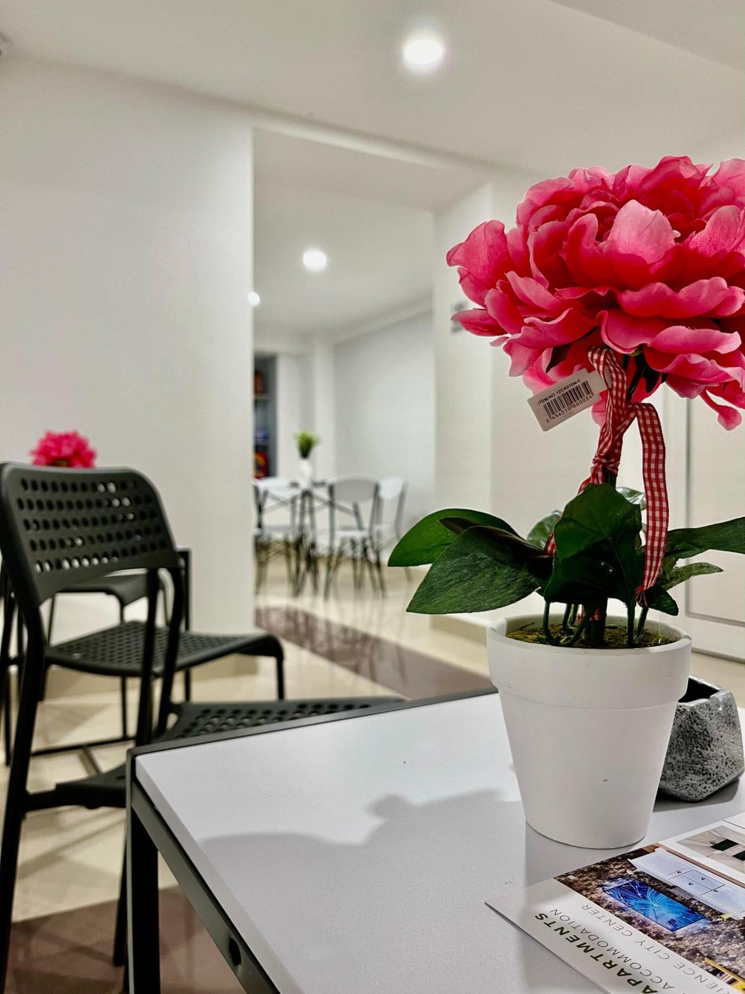 Cozy Hideout - Condo Hotel Timisoara Exterior photo